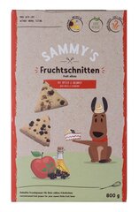 Bosch Sammy's Fruit Slices su obuoliais ir mėlynėmis, 800 g kaina ir informacija | Skanėstai šunims | pigu.lt