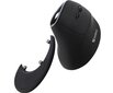 Sandberg Wireless Vertical Mouse Pro 630-13, juoda kaina ir informacija | Pelės | pigu.lt