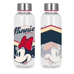 Питьевая бутылка Minnie Mouse, 850 мл цена и информация | Фляга | pigu.lt