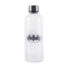 Batman, 850 ml kaina ir informacija | Žaidėjų atributika | pigu.lt