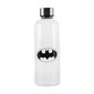 Batman, 850 ml kaina ir informacija | Žaidėjų atributika | pigu.lt