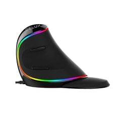 Pelė Delux M618Plus 4000DPI RGB kaina ir informacija | Delux Kompiuterinė technika | pigu.lt