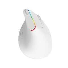 Мышь Wireless Vertical Mouse Delux M618C 2.4G 1600DPI RGB, белая цена и информация | Мыши | pigu.lt