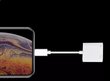 Adapteris Lightning Ethernet Rj45 LAN iPhone iPad Zenwire kaina ir informacija | Adapteriai, USB šakotuvai | pigu.lt