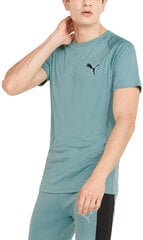 Marškinėliai vyrams Puma Rtg Tee Mineral Green 585827 50, žali kaina ir informacija | Vyriški marškinėliai | pigu.lt
