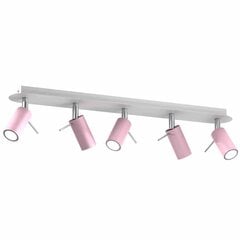 Milagro потолочный светильник Preston Pink цена и информация | Потолочные светильники | pigu.lt