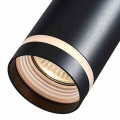 Milagro подвесной светильник Pipe Ring Track цена и информация | Люстры | pigu.lt