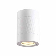 Потолочный светильник Milagro Bima Arte Round White цена и информация | Потолочные светильники | pigu.lt