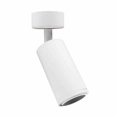 Потолочный светильник Milagro Spot Mica Zoom White цена и информация | Потолочные светильники | pigu.lt