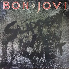 LP BON JOVI SLIPPERY WHEN WET (remastered, 180g) Vinilinė plokštelė kaina ir informacija | Vinilinės plokštelės, CD, DVD | pigu.lt