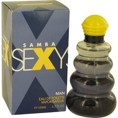 Tualetinis vanduo Perfumers Workshop Samba Sexy EDT vyrams, 100ml kaina ir informacija | Kvepalai vyrams | pigu.lt