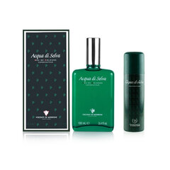 Мужской парфюмерный набор Acqua di Selva Victor (2 pcs) цена и информация | Мужские духи | pigu.lt