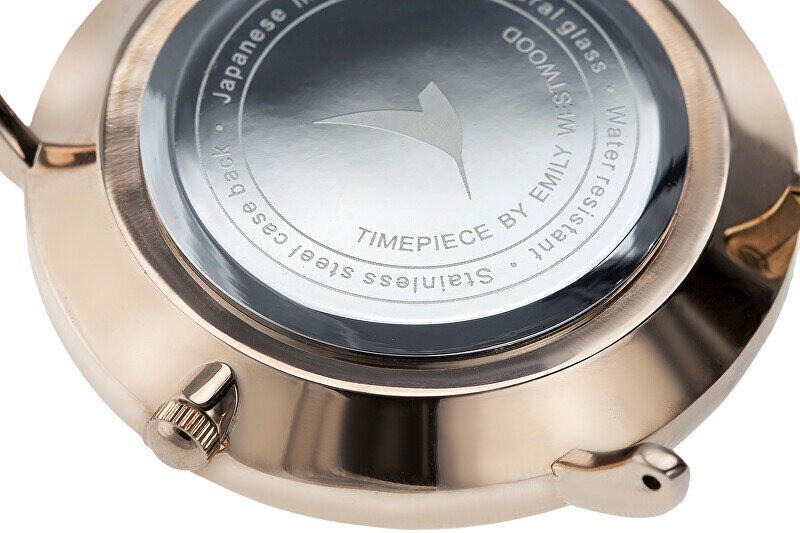 Moteriškas laikrodis Emily Westwood LAM-2518S kaina ir informacija | Moteriški laikrodžiai | pigu.lt