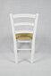 Kėdė Venezia, balta kaina ir informacija | Virtuvės ir valgomojo kėdės | pigu.lt