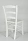Kėdė Venezia, 2 vnt, baltos kaina ir informacija | Virtuvės ir valgomojo kėdės | pigu.lt