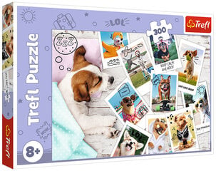 Dėlionė 286 šunys/ *300vnt kaina ir informacija | Dėlionės (puzzle) | pigu.lt