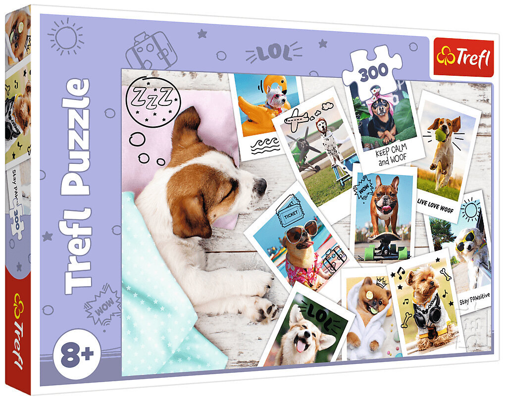 Dėlionė 286 šunys/ *300vnt kaina ir informacija | Dėlionės (puzzle) | pigu.lt