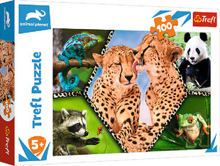 <p>Пазл Puzzle 088 animal planet, 100шт</p>
 цена и информация | Пазлы | pigu.lt