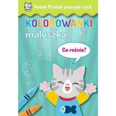 knygos vaikams kačiukai šunys žino judėjimą – kas auga? kaina ir informacija | Spalvinimo knygelės | pigu.lt