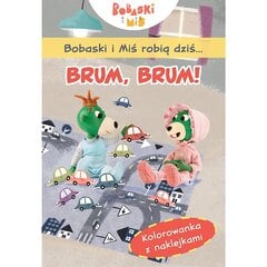 vaikiškos knygos kūdikiai ir meškiukas šiandien daro... šluota, šluota! kaina ir informacija | Spalvinimo knygelės | pigu.lt