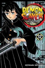 Demon Slayer: Kimetsu no Yaiba, Vol. 12 цена и информация | Пособия по изучению иностранных языков | pigu.lt