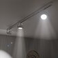 Eko-light lubinis šviestuvas Lugar цена и информация | Lubiniai šviestuvai | pigu.lt