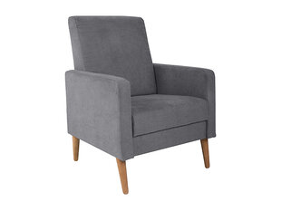 Кресло BRW, Bizu, серый цвет цена и информация | Кресла в гостиную | pigu.lt