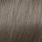 Plaukų dažai Mood Color Cream 9.1 Extra Light Ash Blonde, 100 ml. цена и информация | Plaukų dažai | pigu.lt