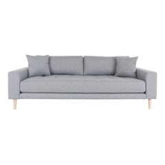 Трехместный диван Lido, светло-серый цвет цена и информация | Диваны | pigu.lt