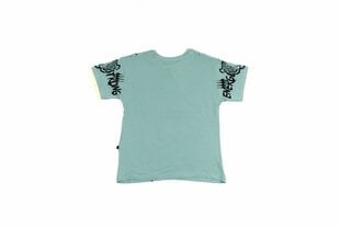 Рубашка для мальчиков цена и информация | Рубашки для мальчиков | pigu.lt