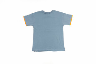Marškinėliai berniukams kaina ir informacija | Marškinėliai berniukams | pigu.lt