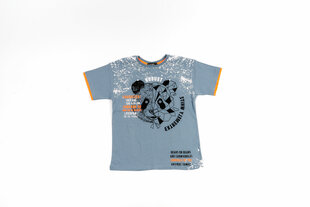 Рубашка для мальчиков цена и информация | Рубашки для мальчиков | pigu.lt