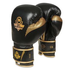 Кожаные боксерские перчатки Bushido B- 2v13 цена и информация | Боевые искусства | pigu.lt