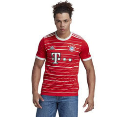 Спортивная футболка с коротким рукавом, мужская Adidas FC Bayern 22/23 Home цена и информация | Мужская спортивная одежда | pigu.lt