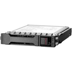 Kietasis diskas HPE P40430-B21 300GB HDD BFN-BB-S55148581 kaina ir informacija | Kaklo papuošalai | pigu.lt