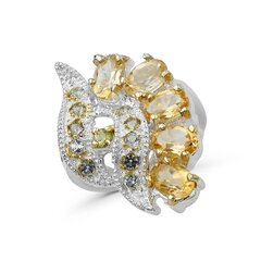 Серебряное (925) кольцо с драгоценными камнями, код F50234EU-59 цена и информация | Кольцо | pigu.lt