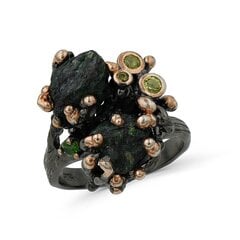 Серебряное (925) кольцо с драгоценными камнями, код F50258EU-56 цена и информация | Кольца | pigu.lt