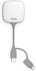 Epson Wireless Presentation System ELPWP10 kaina ir informacija | Projektorių priedai | pigu.lt