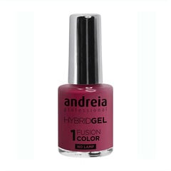 Лак для ногтей Andreia Hybrid Fusion H21, 10.5 мл цена и информация | Лаки, укрепители для ногтей | pigu.lt