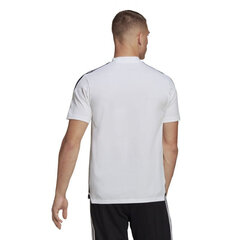 Sportiniai marškinėliai vyrams Adidas, balti kaina ir informacija | Sportinė apranga vyrams | pigu.lt