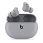 Beats Studio Buds TWS – Moon Grey MMT93ZM/A цена и информация | Ausinės | pigu.lt