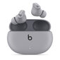 Beats Studio Buds TWS – Moon Grey MMT93ZM/A kaina ir informacija | Ausinės | pigu.lt