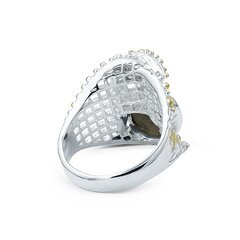 Серебряное (925) кольцо с драгоценными камнями, код F50261EU-57 цена и информация | Кольца | pigu.lt