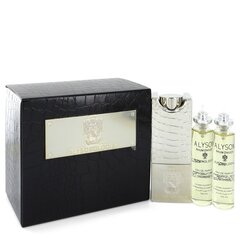 Kvapusis vanduo Alyson Oldoini Rhum D'hiver EDP vyrams, 3x20 ml цена и информация | Мужские духи | pigu.lt