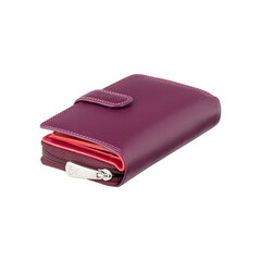 Женский кожаный кошелек Visconti RIO R13 цена и информация | Женские кошельки, держатели для карточек | pigu.lt