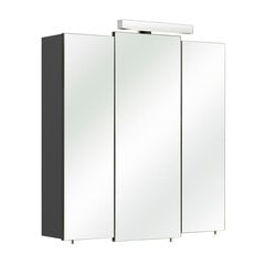 Зеркальный шкаф со светильником 13-I с антрацитовой глянцевой отделкой цена и информация | Шкафчики для ванной | pigu.lt