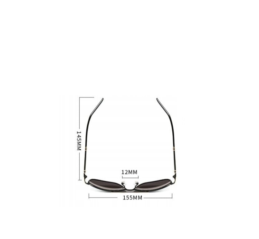 Poliarizuoti akiniai nuo saulės vyrams su Audi logotipu цена и информация | Akiniai nuo saulės vyrams | pigu.lt