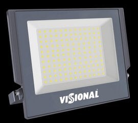 Visional LED prožektorius 30W / 3300lm / IP66 / 4000K kaina ir informacija | Žibintai ir prožektoriai | pigu.lt