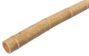 Бамбуковый шест MOSO, 100 см, 9-10 см цена и информация | Декорации для сада | pigu.lt
