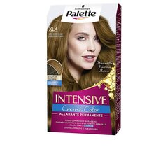 Ilgalaikiai dažai Schwarzkopf Palette Intensive XL4 kaina ir informacija | Plaukų dažai | pigu.lt